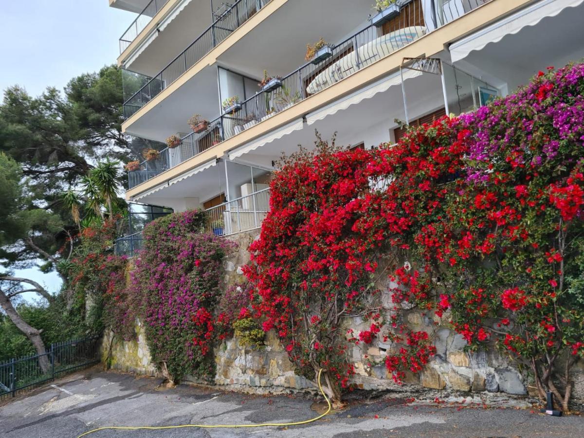 Appartement Rocce Di Capo Mimosa - Cervo Extérieur photo
